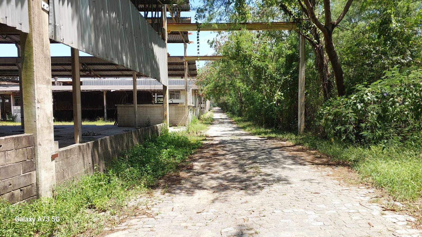 WhatsApp-Image-2026-01-30-at-12.54.17-1-1