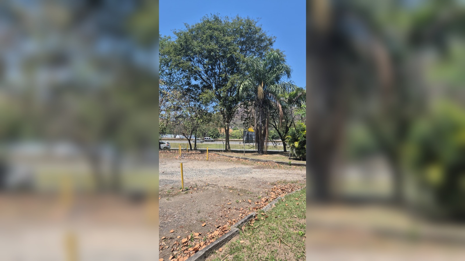 WhatsApp-Image-2026-01-30-at-12.54.17-2-2