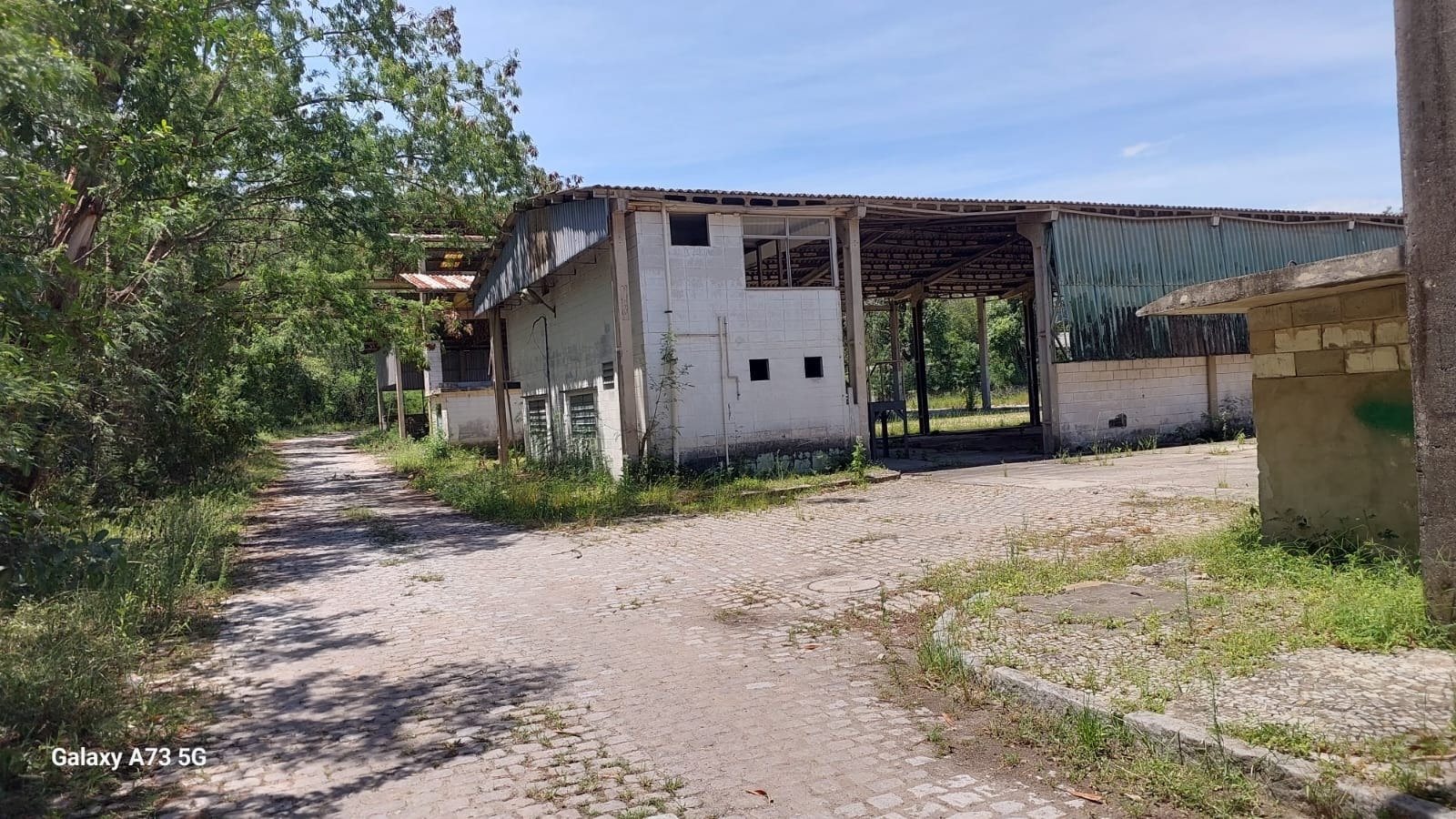 WhatsApp-Image-2026-01-30-at-12.54.18